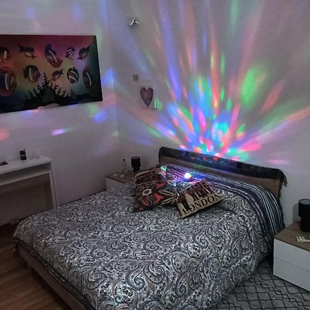 فيلا بولونيافي La Casa Di Marilyn In Fiera المظهر الخارجي الصورة
